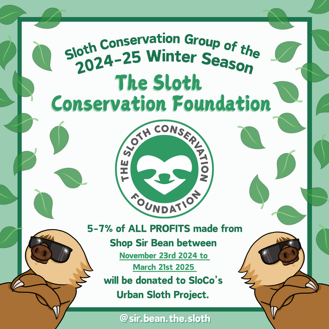 Sloth Conservation Group Winter 2024-2025 Season!