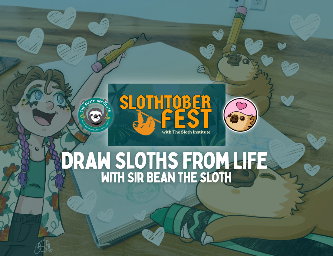 Sir Bean the Sloth hosts 2nd Annual Sloth Drawing Workshop with The Sloth Institute for Slothtoberfest!