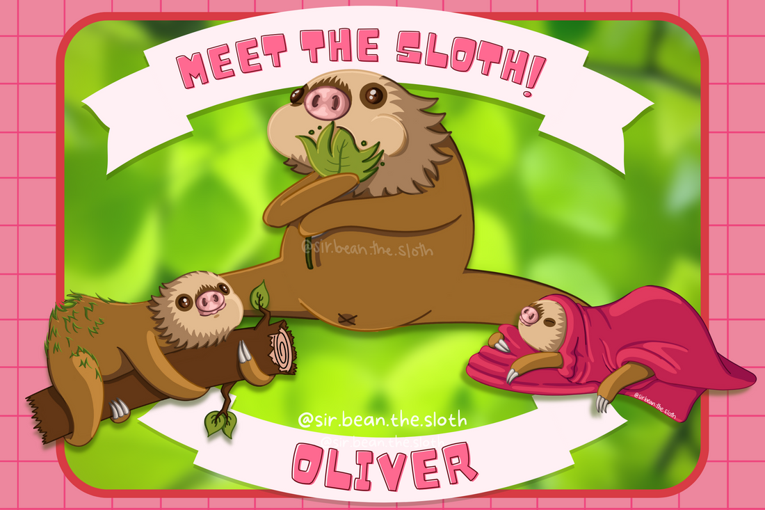 Meet the Sloth! - Oliver