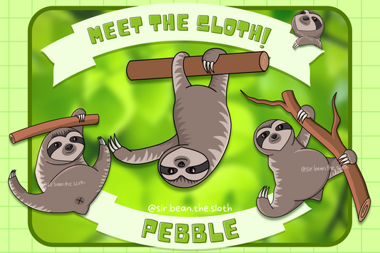 Meet the Sloth - Pebble