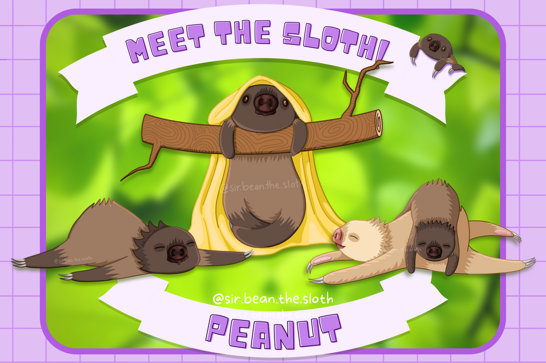 Meet the Sloth - Peanut