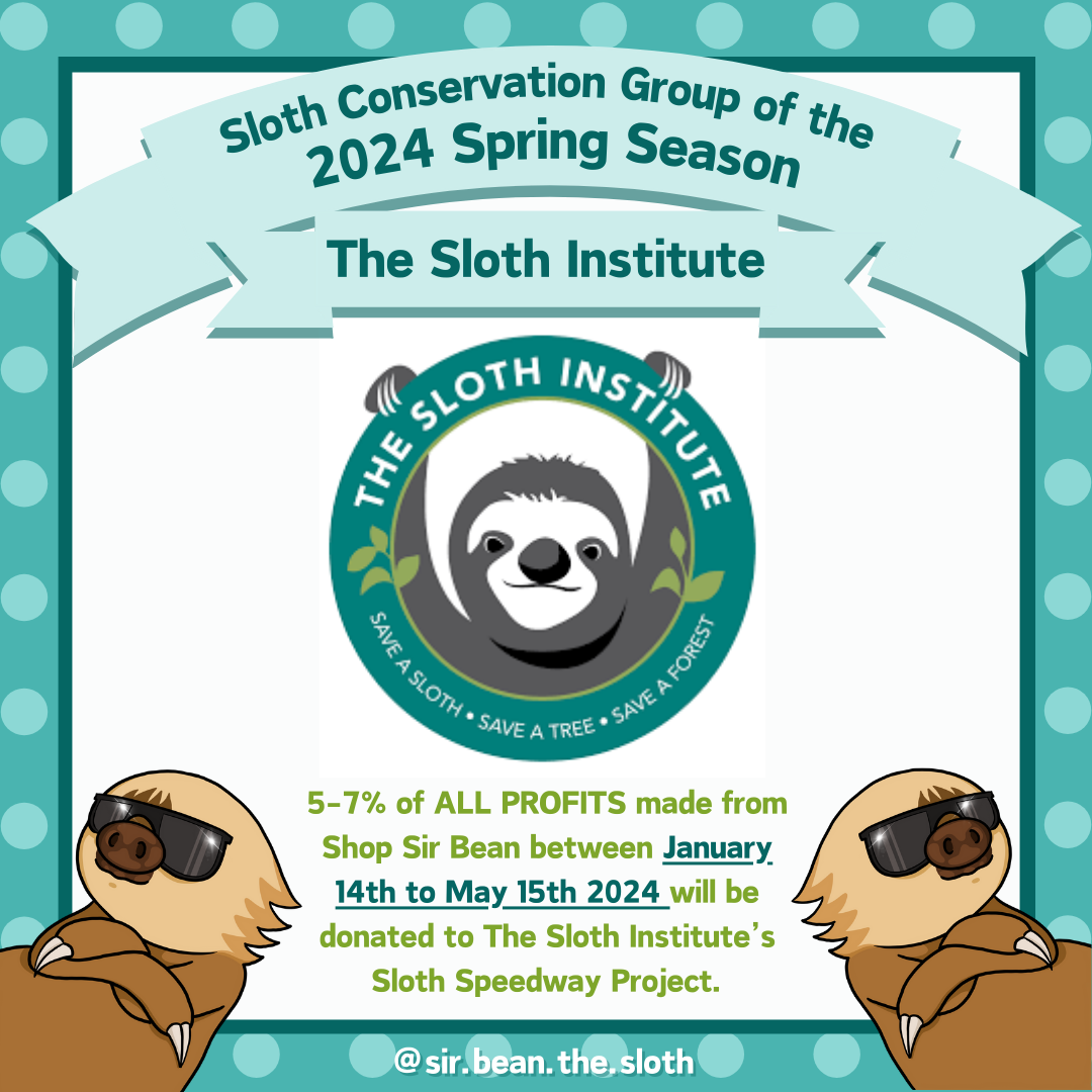 Spring 2024 Sloth Conservation Project of the Season - The Sloth Insti ...
