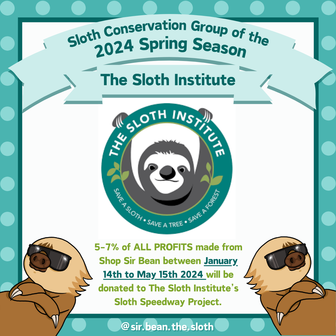 Spring 2024 Sloth Conservation Project of the Season - The Sloth Institute's Sloth Speedways