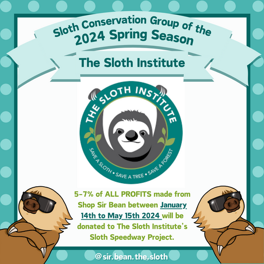 Spring 2024 Sloth Conservation Project of the Season - The Sloth Institute's Sloth Speedways