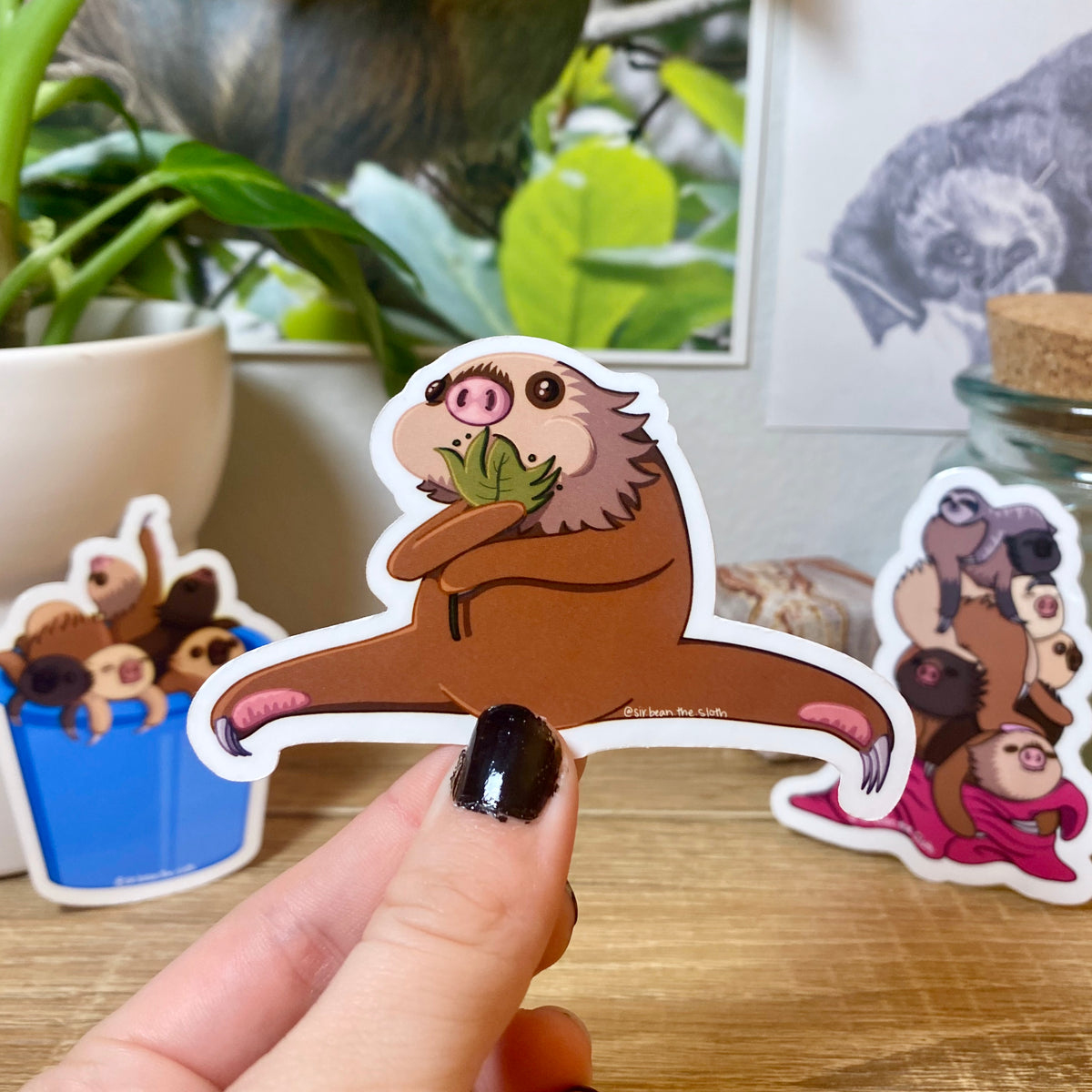 Steven Tyler Sloth Meet the Sloth Series – Sir Bean the Sloth