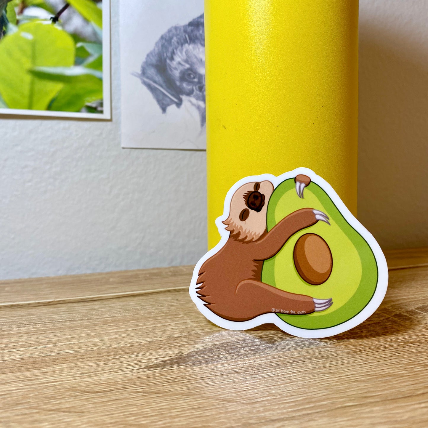 Slothocado Vinyl Sticker