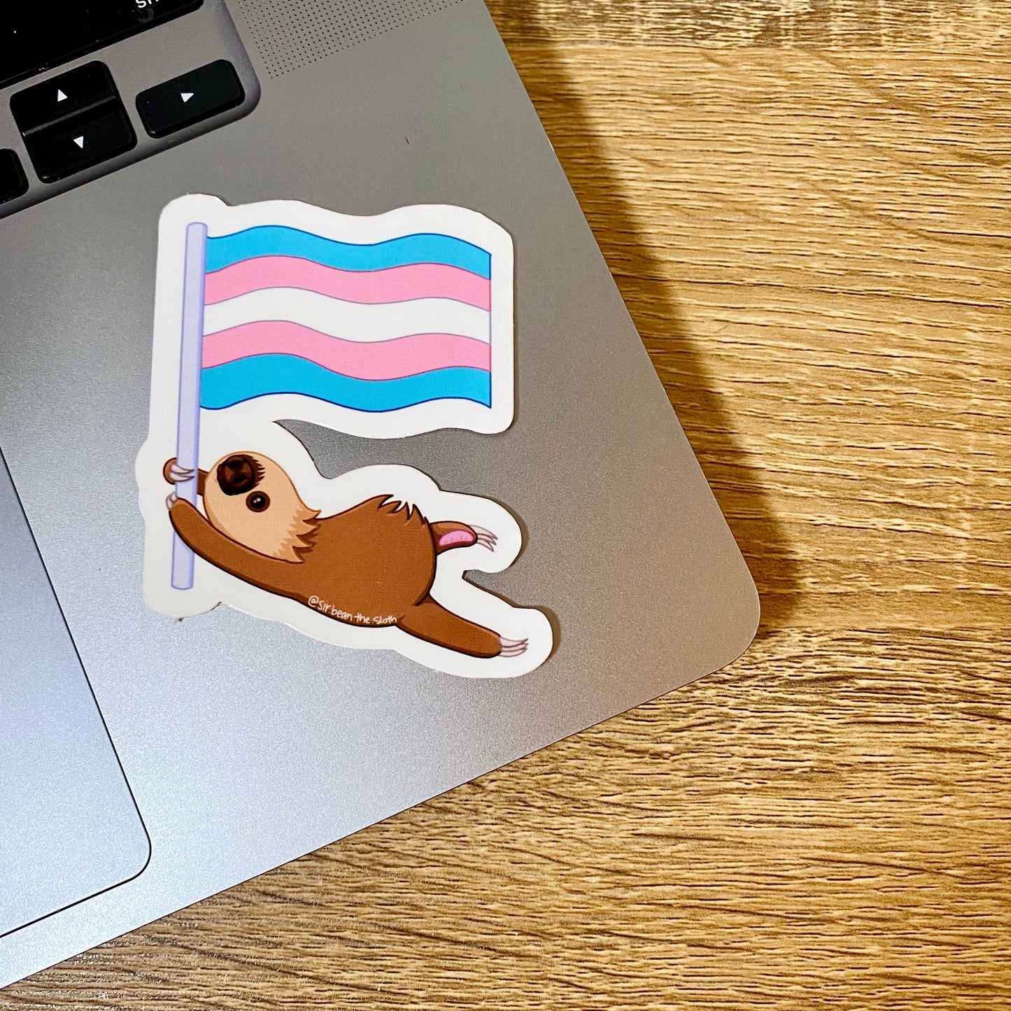 Sir Bean Trans Pride Flag Vinyl Sticker