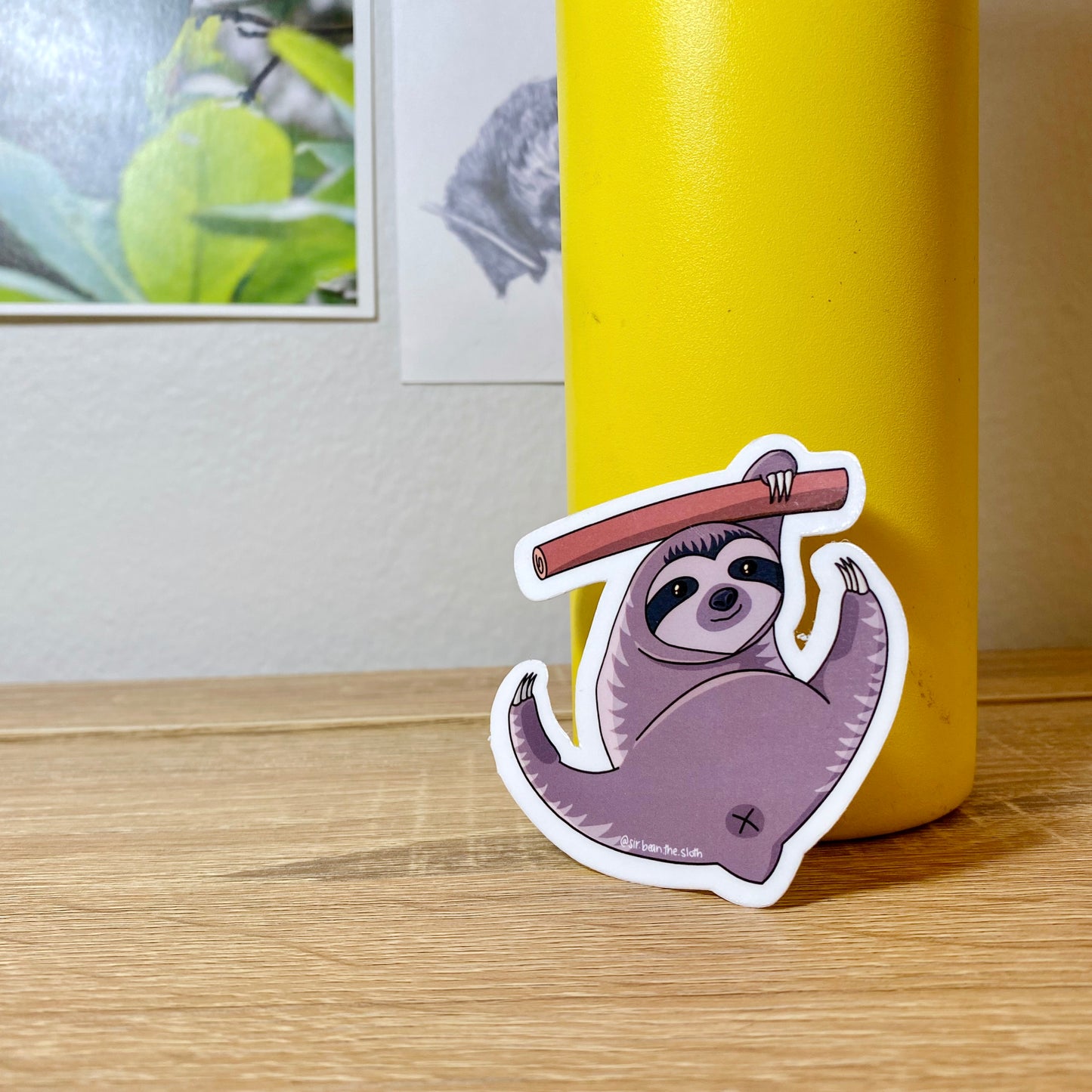 Pebble the Sloth Vinyl Sticker