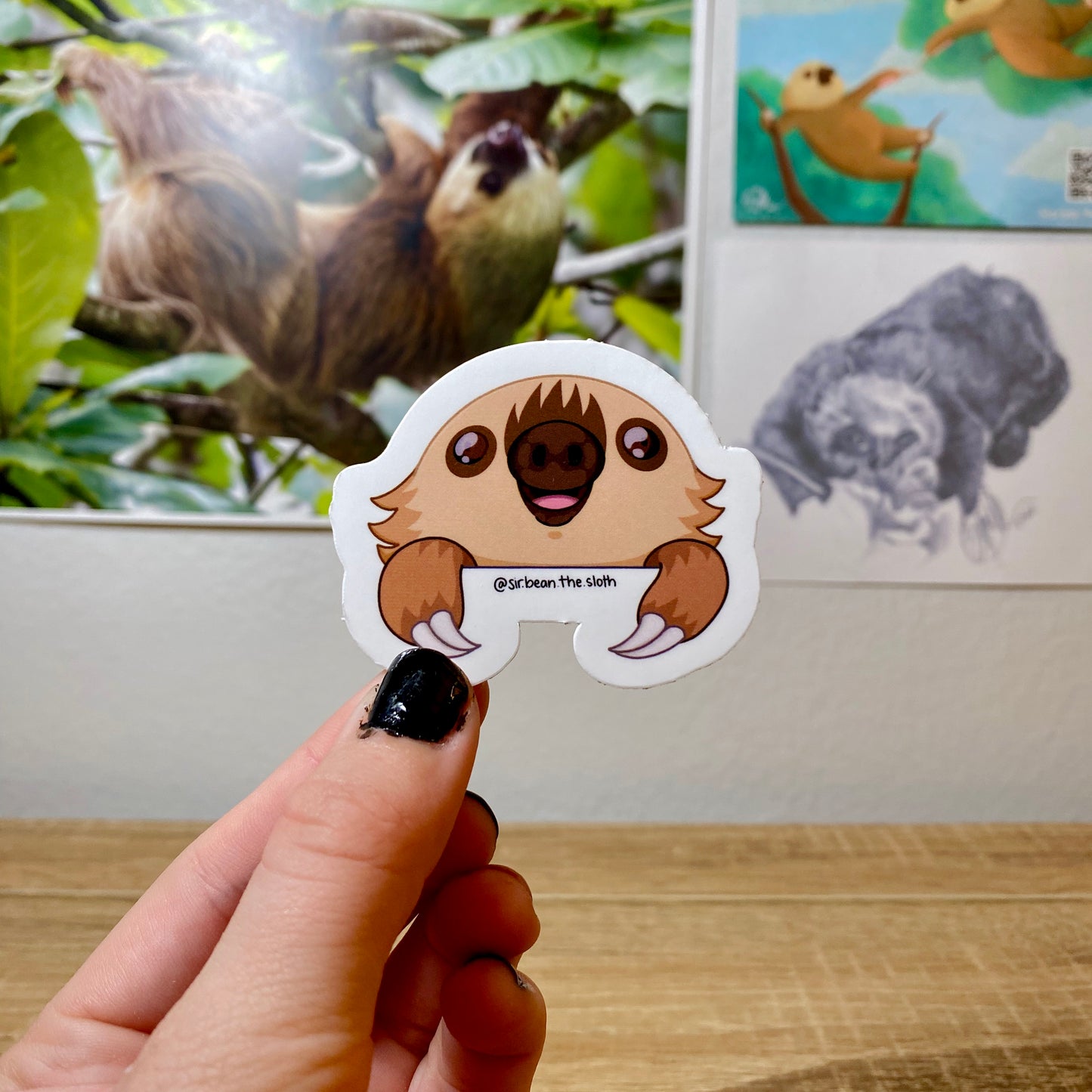 Peek-A-Boo Sloth Vinyl Sticker