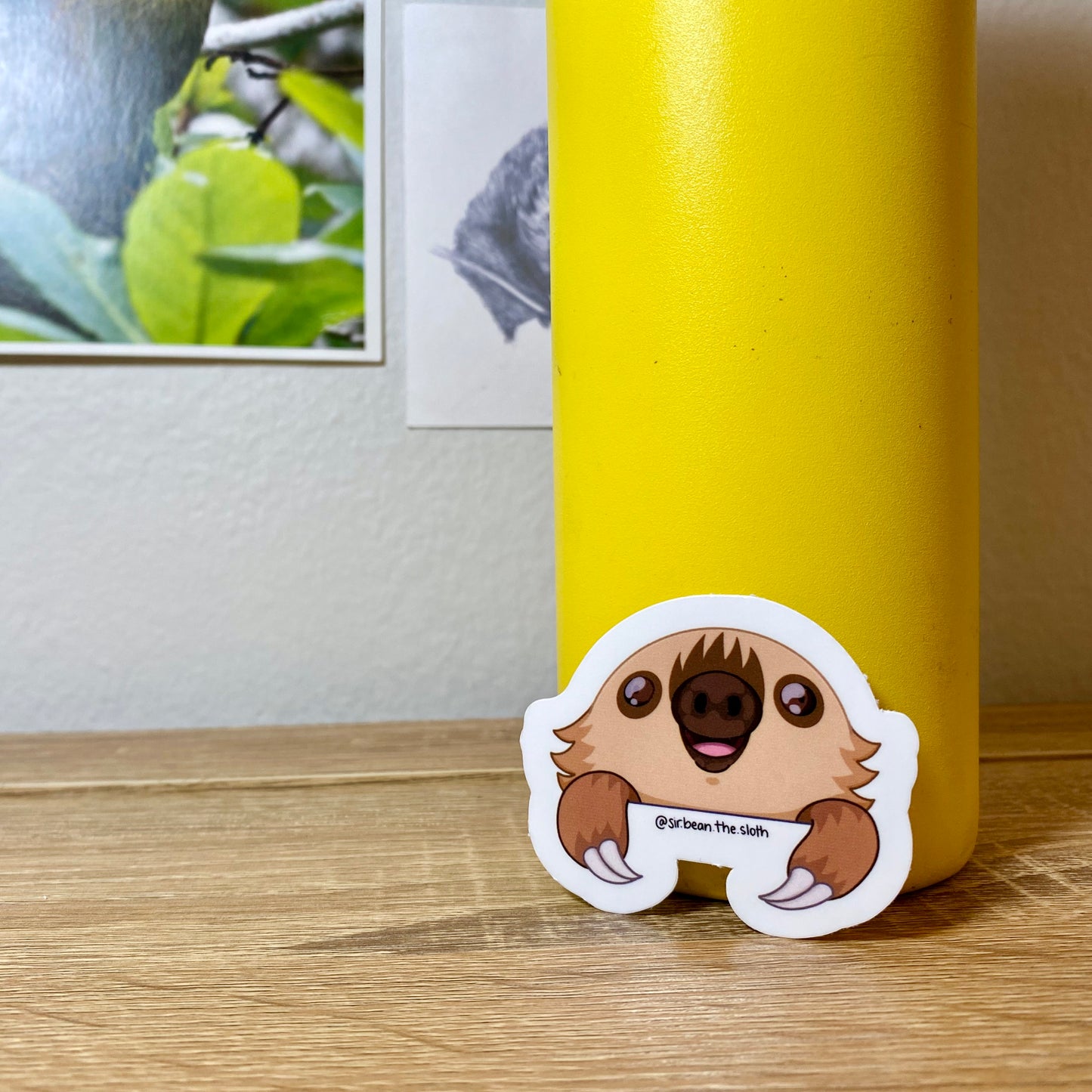 Peek-A-Boo Sloth Vinyl Sticker